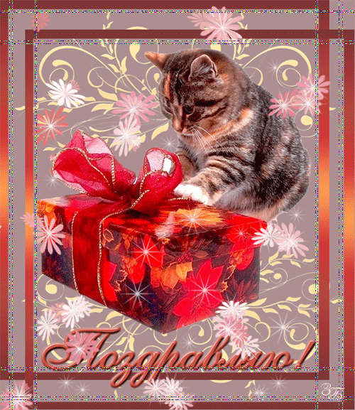 Движущиеся картинки поздравления. Открытки. Поздравительная открытка. Поздравительные открытки с котами с днем рождения. Поздравительные открытки с анимацией.