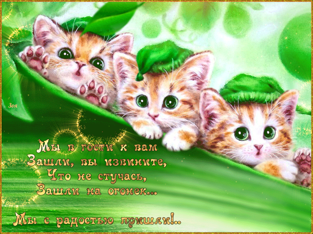 Добрые пожелания с кошками. Открытки с котятами. Открытка «котики». Красивые открытки с котиками. День кошек открытки.