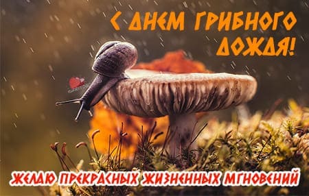 Открытки для родных и близких