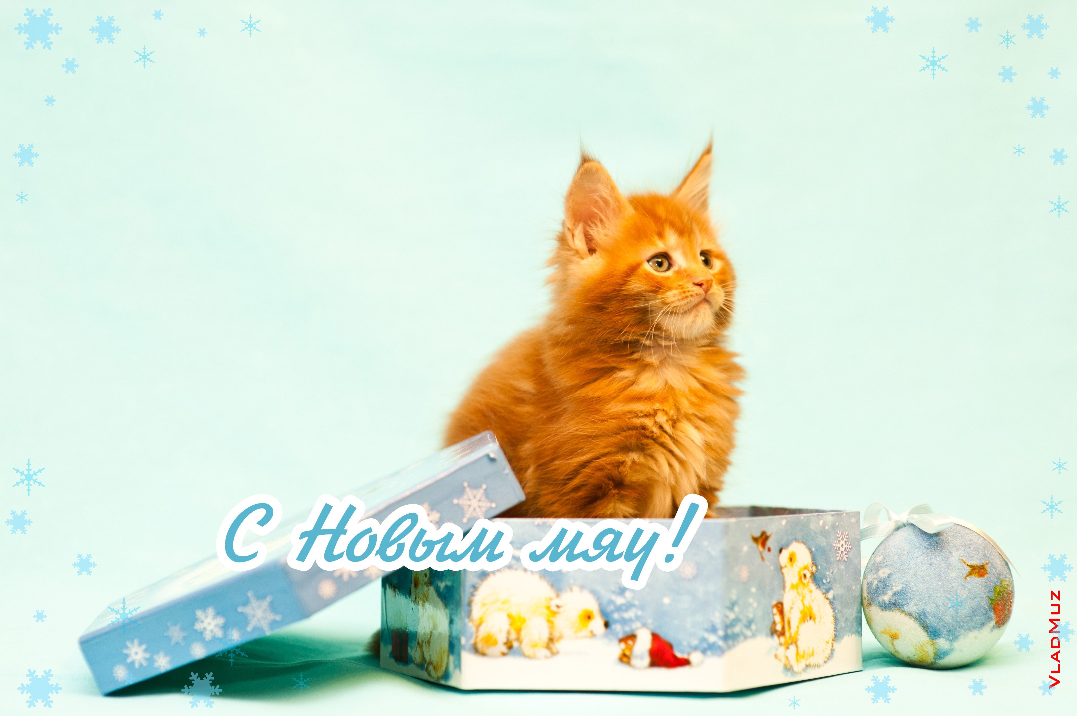 Открытки с рыжими котами. С днём рождения с котиками. Котик поздравляет с днем рождения. Открытки с днём рождения с котиками. С днем рождения рыжий котик.