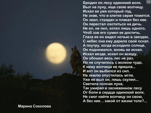 Текст песни волк. Стихи про одинокую луну. Волк и Луна стихи. Хочется выть на луну. Одинокая Луна текст.