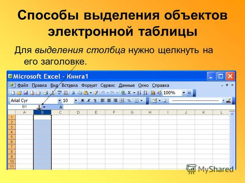 В электронной таблице выделили