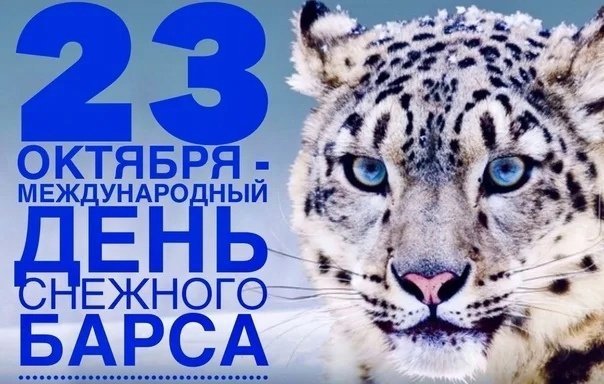 26 мая день снежного барса картинка