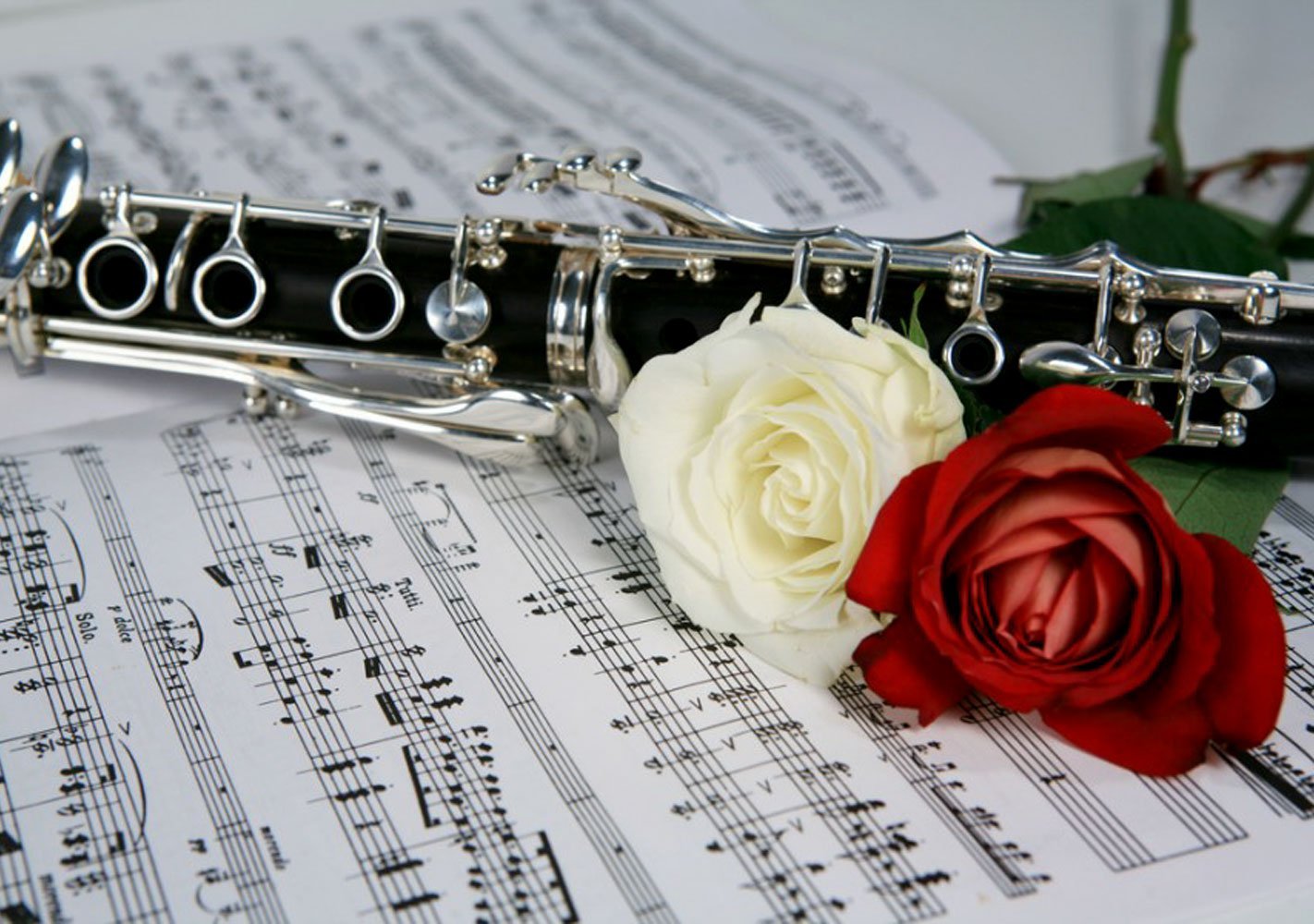 Цветок кларнет. Саксофон флейта кларнет. Цветы для музыканта. Открытка музыканту. Флейта и цветы.