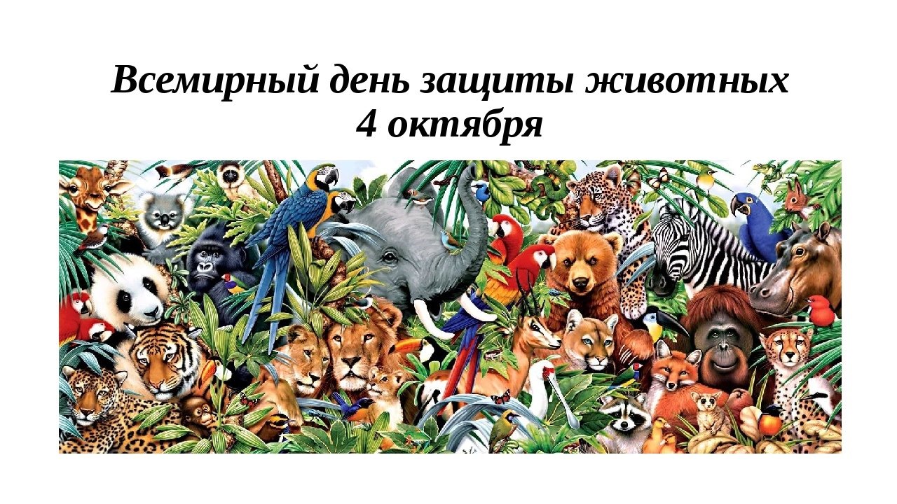 Всемирный день защиты животных. День зверей 26 сентября. Картинка день защиты животных в детском саду. Фото животных.