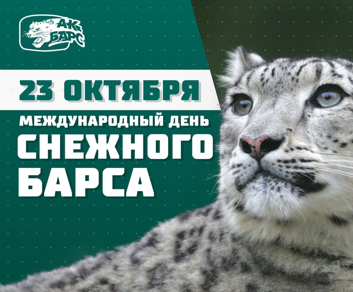 Барс 23. Международный день снежного Барса (International Snow Leopard Day). 23 Октября отмечается Международный день снежного Барса. Снежный Барс 23 октября. День снежного Барса 23 октября открытки.