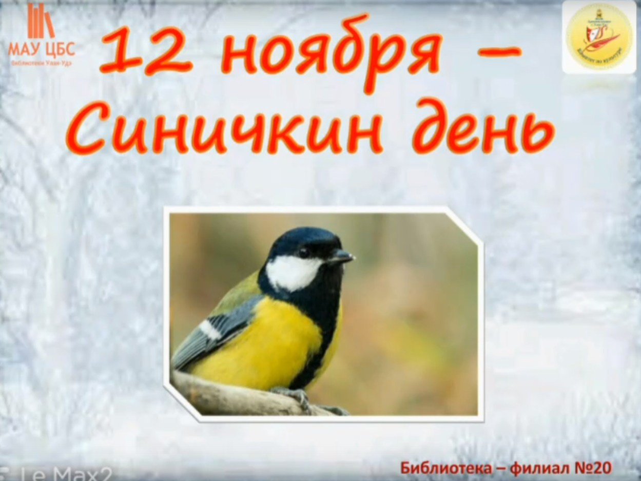 12 ноября день картинки. Выставка Синичкин день. Акция Синичкин день. Синичкин день выставка в библиотеке. 12 Ноября Синичкин день в библиотеке.