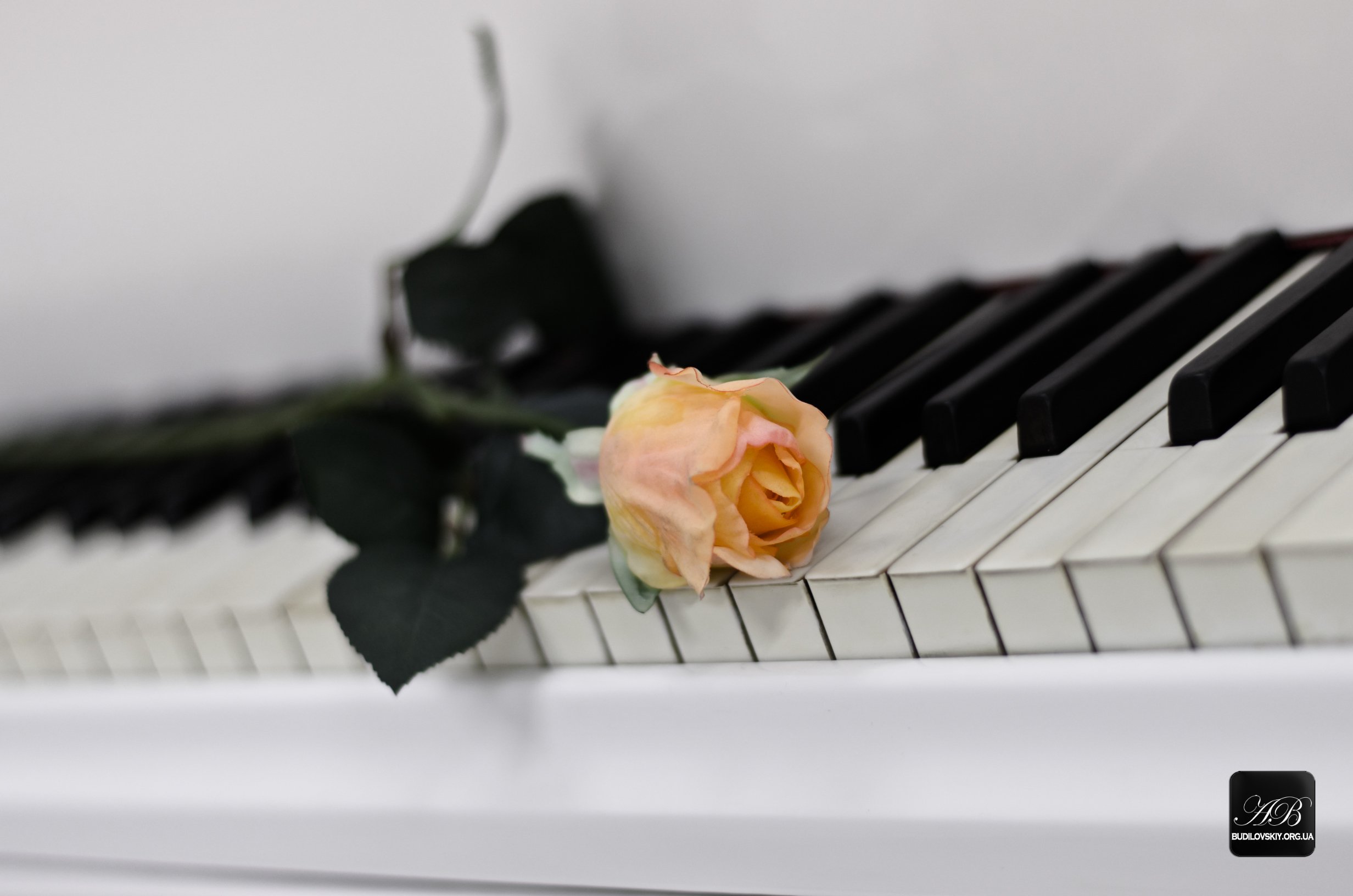 Фортепиано белые клавиши. Красивый рояль. Клавиши пианино. Красивое пианино. Клавиши рояля.