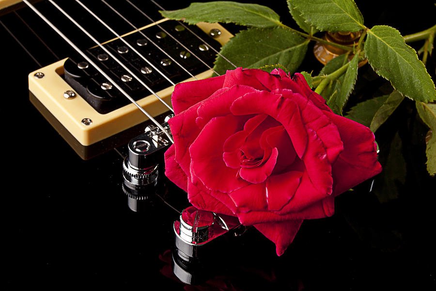 Музыкальная песня с днем рождения женщины. Гитара и роза. Электрогитара и роза. Открытки с музыкой. Добрый вечер гитара.