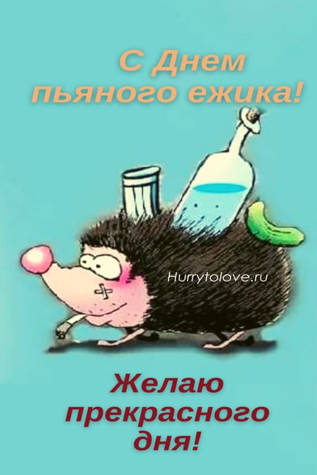 Картинки с пьяным ежиком