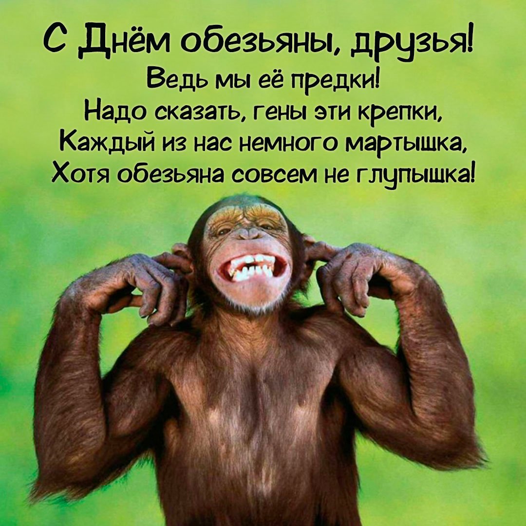 Картинки на день обезьян: прикольные поздравления в открытках на 14 декабря 