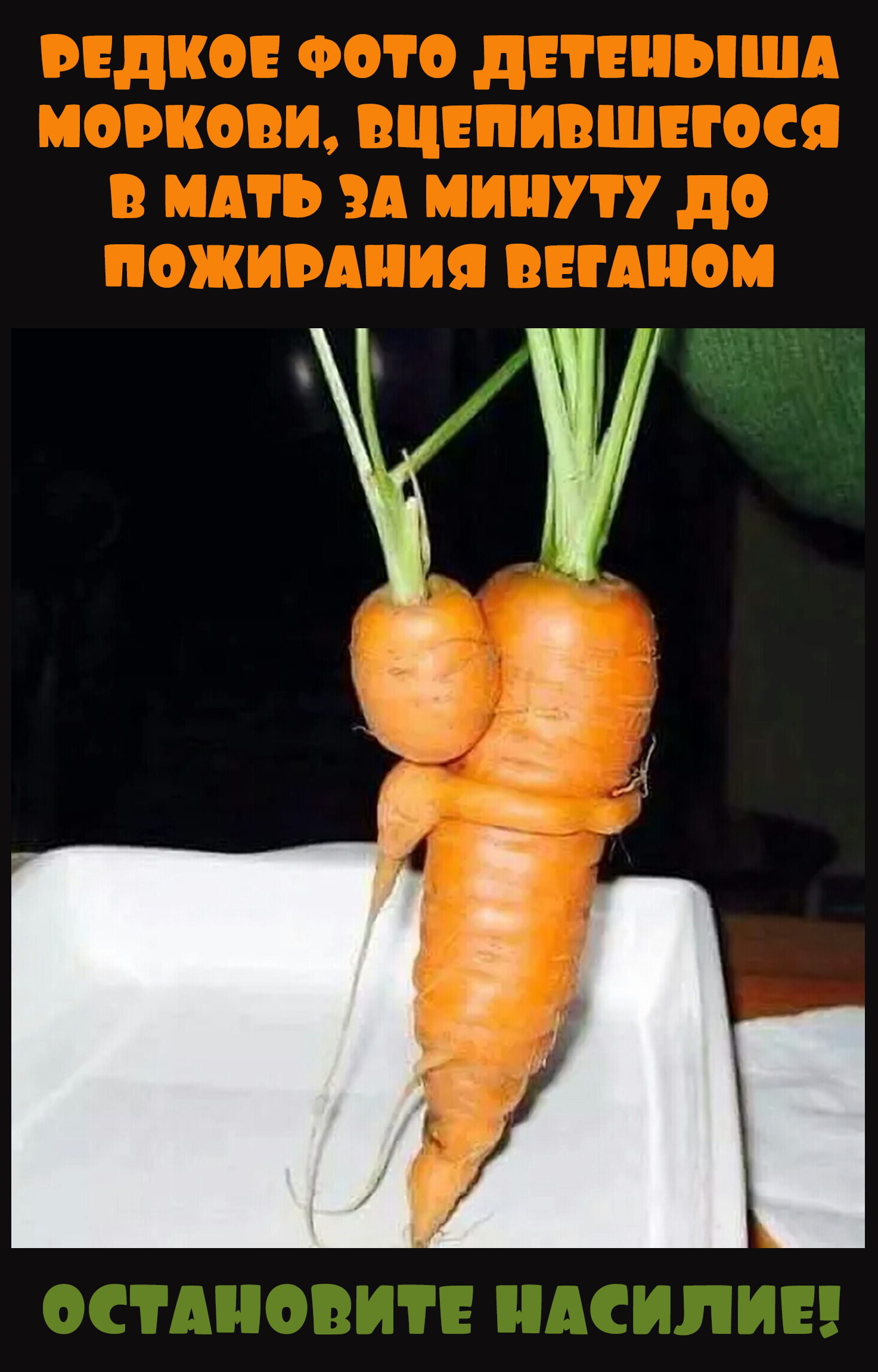 Включи морковь про новый. Смешная морковь. Шутки про морковку. Морковь прикол. Маленькая морковь.