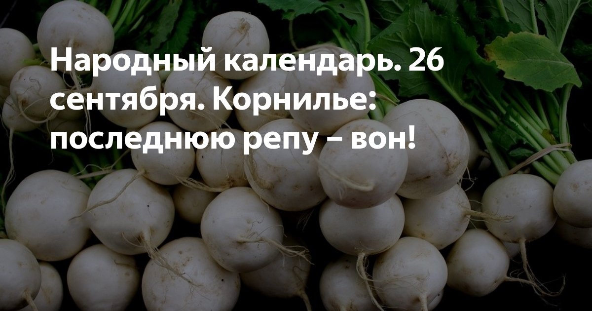 26 сентября. 26 Сентября Корнилье. 26 Сентября народный календарь. Корнилье народный праздник. Народный календарь Корнилье.