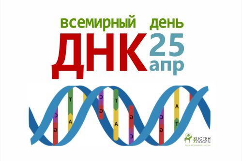 Картинки с Международным Днем ДНК (13 открыток). Картинки с надписями