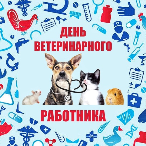 Картинки с Международным днем ветеринарного врача (75 открыток). Красивые картинки с надписями