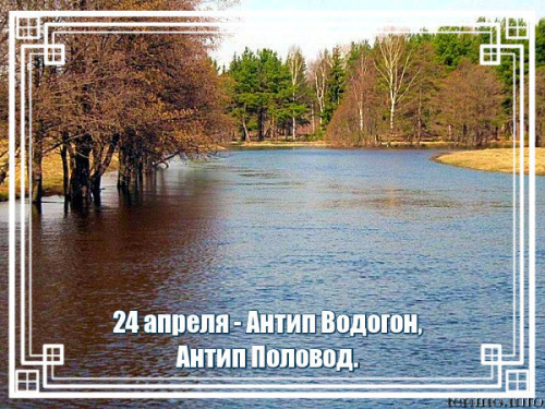 Картинки на Антипа Водогона (13 открыток). Красивые картинки с надписями