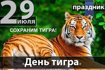 Картинки с Международным днем тигра (87 открыток). Картинки