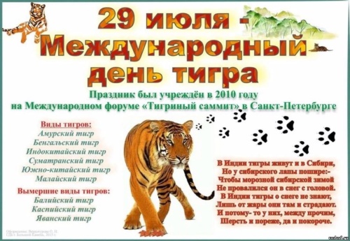 Картинки с Международным днем тигра (87 открыток). Картинки