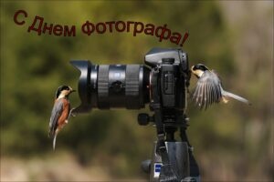 Картинки с Днем фотографа (93 открытки). Открытки