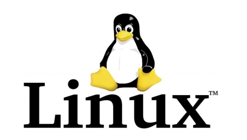 Картинки с Днем рождения операционной системы Linux (21 открыток). Картинки