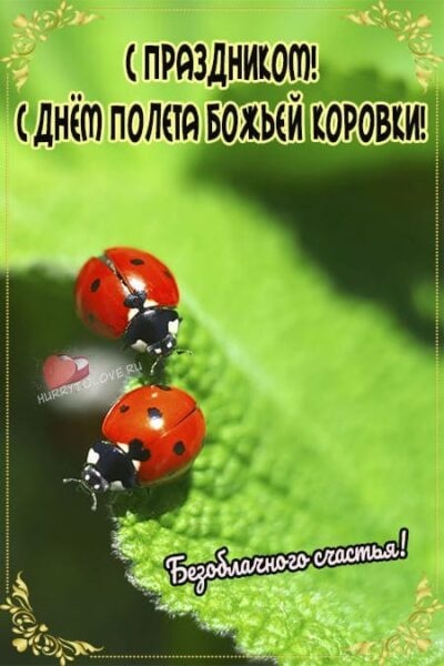 Картинки с Днем полета божьих коровок (49 открыток). Картинки