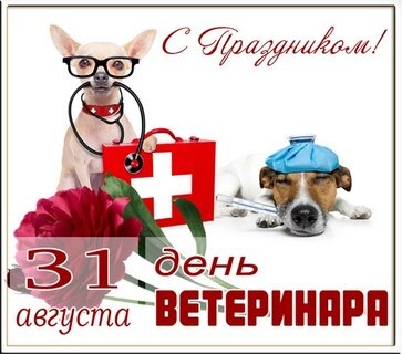 Картинки с Днем ветеринарного работника (127 открыток). Открытки