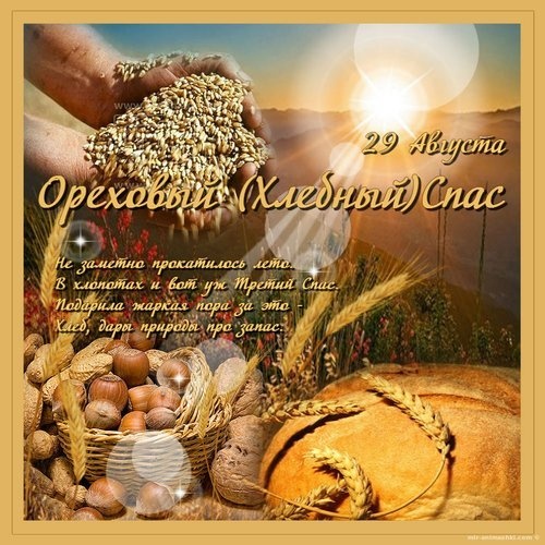 Картинки с Ореховым Хлебным Спасом (87 открыток). Открытки