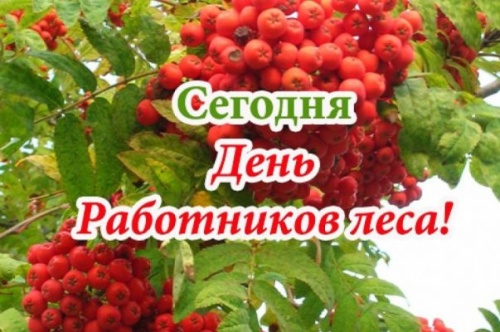 Картинки с Днем работников леса и лесоперерабатывающей промышленности (123 открытки). Прикольные открытки с Днем работников леса и лесоперерабатывающей промышленности