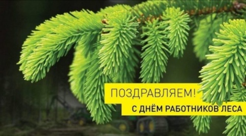 Картинки с Днем работников леса и лесоперерабатывающей промышленности (123 открытки). Прикольные открытки с Днем работников леса и лесоперерабатывающей промышленности