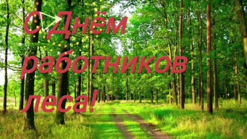 Картинки с Днем работников леса и лесоперерабатывающей промышленности (123 открытки). Прикольные открытки с Днем работников леса и лесоперерабатывающей промышленности