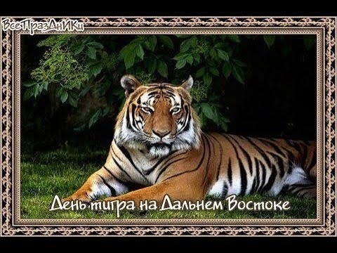 Картинки с Днем тигра на Дальнем Востоке (47 открыток). Прикольные открытки с Днем тигра на Дальнем Востоке