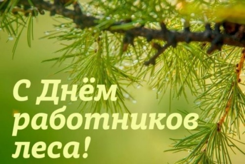 Картинки с Днем работников леса и лесоперерабатывающей промышленности (123 открытки). Картинки с надписями и поздравлениями на День работников леса