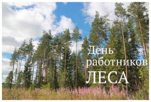 Картинки с Днем работников леса и лесоперерабатывающей промышленности (123 открытки). Картинки с надписями и поздравлениями на День работников леса