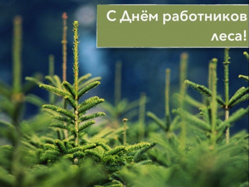 Картинки с Днем работников леса и лесоперерабатывающей промышленности (123 открытки). Прикольные открытки с Днем работников леса и лесоперерабатывающей промышленности