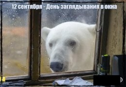 Картинки с Днем заглядывания в окна (79 открыток). Картинки с надписями и поздравлениями на День заглядывания в окна