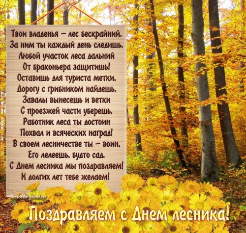 Картинки с Днем работников леса и лесоперерабатывающей промышленности (123 открытки). Прикольные открытки с Днем работников леса и лесоперерабатывающей промышленности