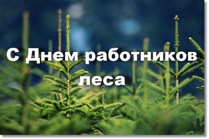 Картинки с Днем работников леса и лесоперерабатывающей промышленности (123 открытки). Картинки с надписями и поздравлениями на День работников леса