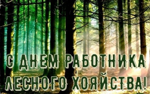 Картинки с Днем работников леса и лесоперерабатывающей промышленности (123 открытки). Прикольные открытки с Днем работников леса и лесоперерабатывающей промышленности