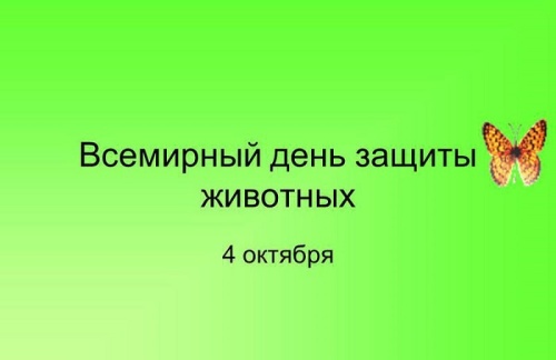 Картинки с Всемирным днем защиты животных (90 открыток). Прикольные открытки с Днем защиты животных