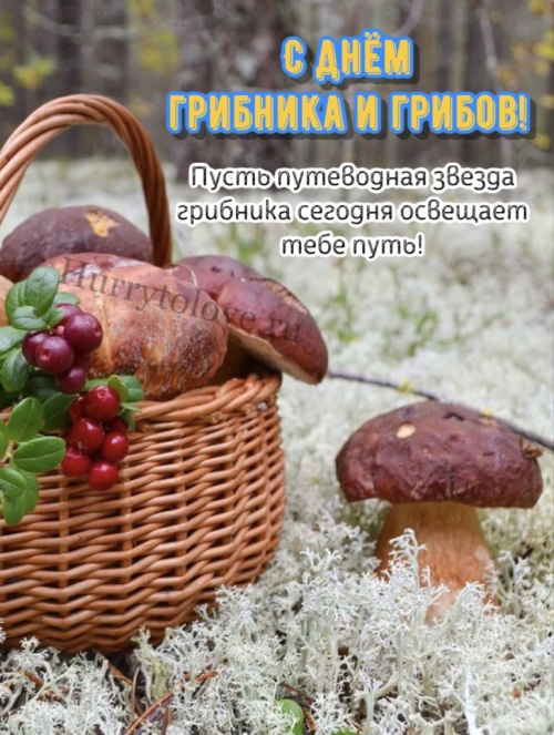 Картинки с Всемирным днем грибника (48 открыток). Прикольные открытки с Днём грибника