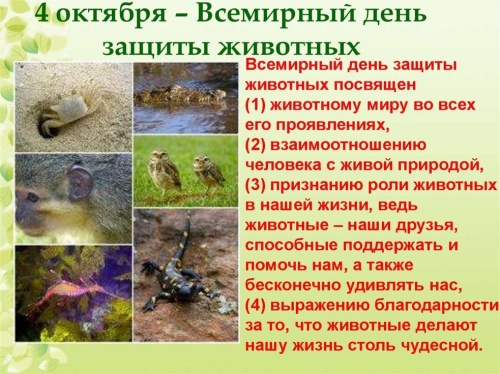 Картинки с Всемирным днем защиты животных (90 открыток). Картинки с надписями и поздравлениями на Всемирный день защиты животных