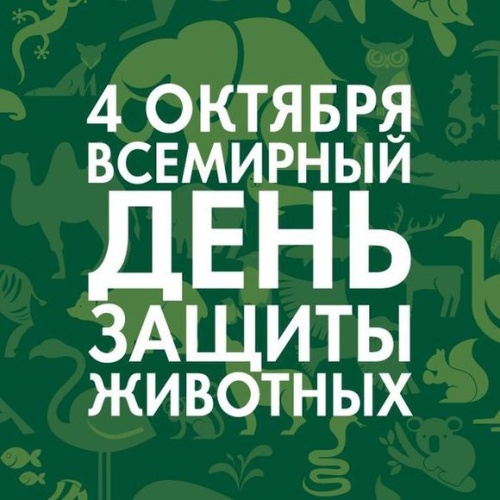 Картинки с Всемирным днем защиты животных (90 открыток). Картинки с надписями и поздравлениями на Всемирный день защиты животных