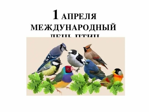 Картинки с Днем птиц (98 открыток). Картинки с надписями и поздравлениями на Международный день птиц