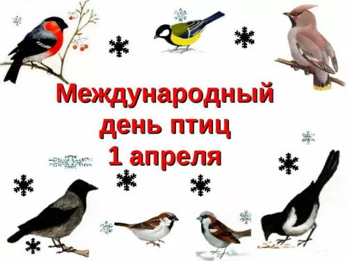 Картинки с Днем птиц (98 открыток)