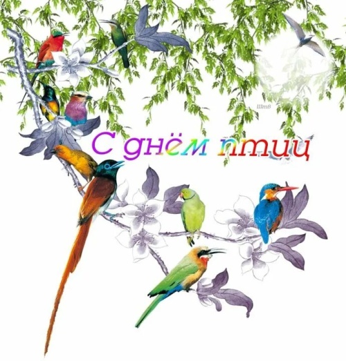 Картинки с Днем птиц (98 открыток). Картинки с надписями и поздравлениями на Международный день птиц
