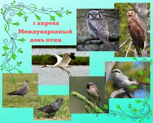 Картинки с Днем птиц (98 открыток). Прикольные открытки с Днем птиц