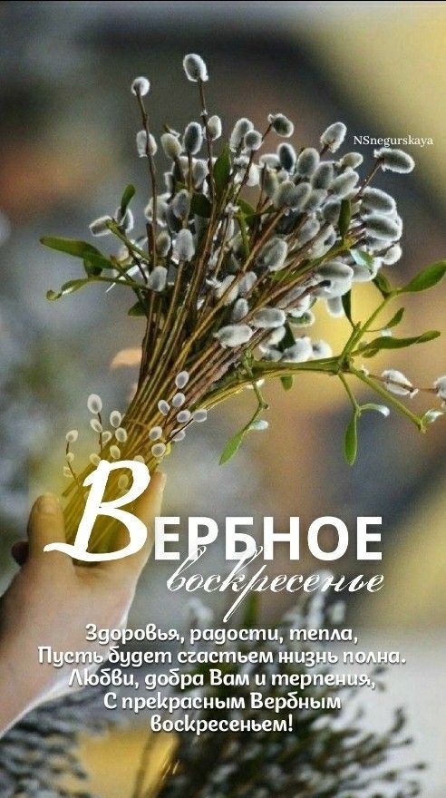 Картинки с Вербным Воскресеньем (94 открытки). Красивые открытки с Вербным Воскресеньем