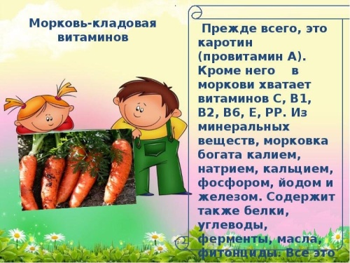 Картинки с Днем моркови (81 открытка). Картинки с надписями и поздравлениями на Международный день моркови