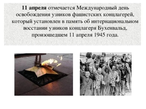 Картинки с Днем освобождения узников фашистских концлагерей (57 открыток). Красивые открытки с Днем освобождения узников фашистских концлагерей