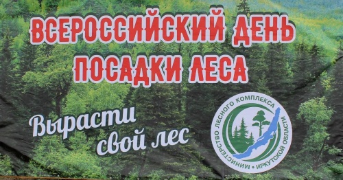 Картинки с Днем посадки леса (42 открытки). Картинки с надписями и поздравлениями на Всероссийский день посадки леса